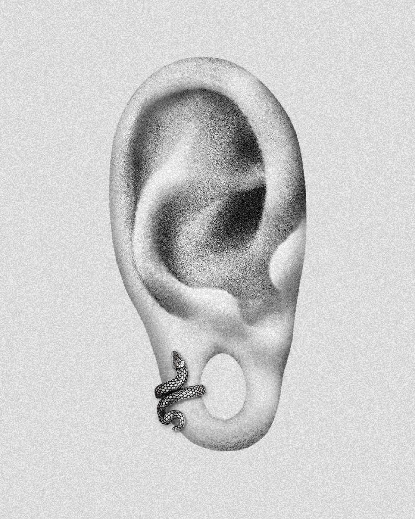 Cuff Lobe Snake en acero inoxidable 316L con diseño de serpiente, ideal para expansiones desde 6mm. Disponible en plateado.